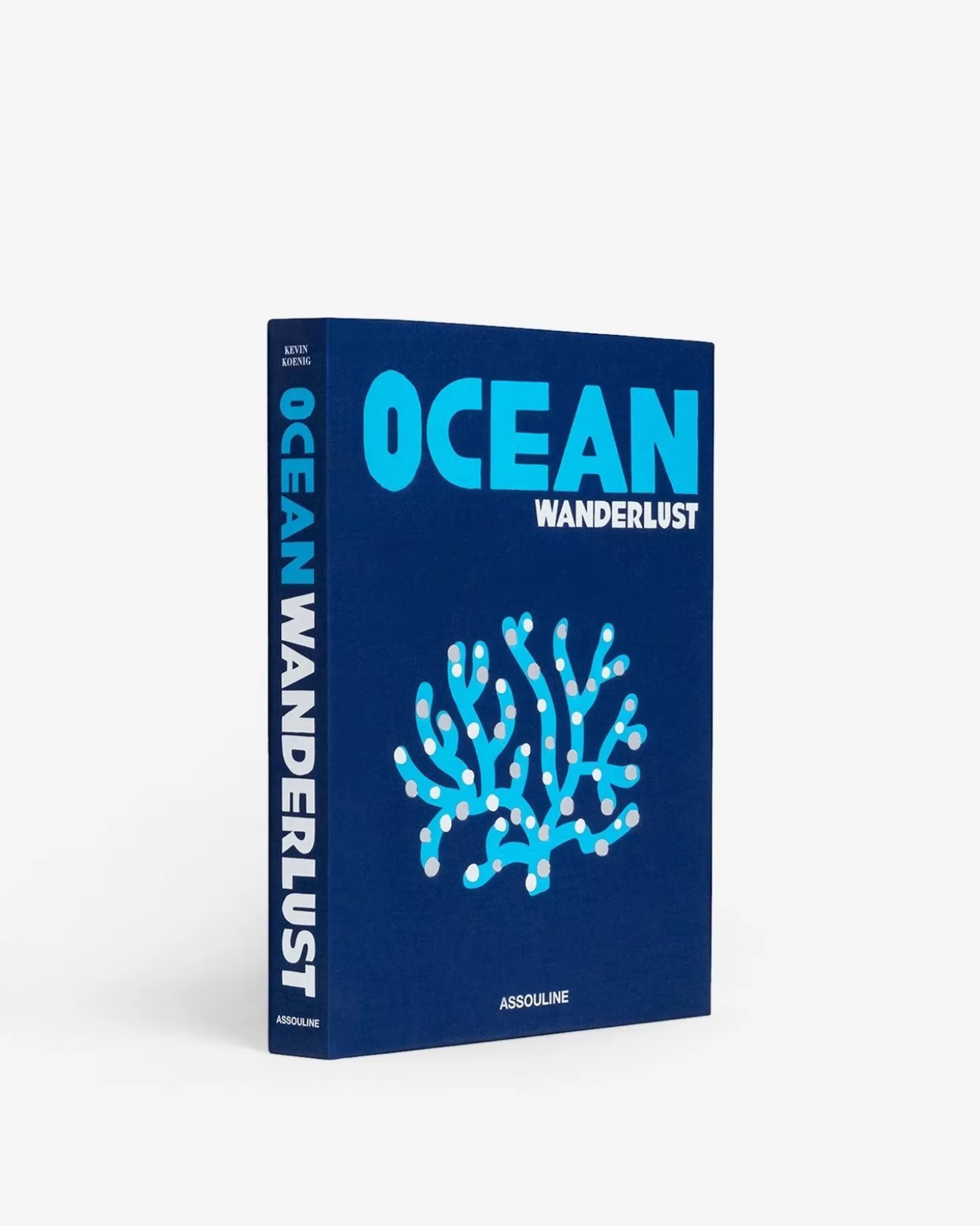 Voyage<Assouline Esprit D'Aventure Dans L'Ocean