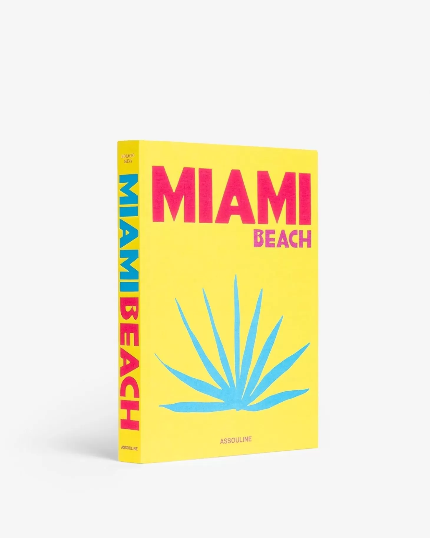 Voyage<Assouline Plage De Miami